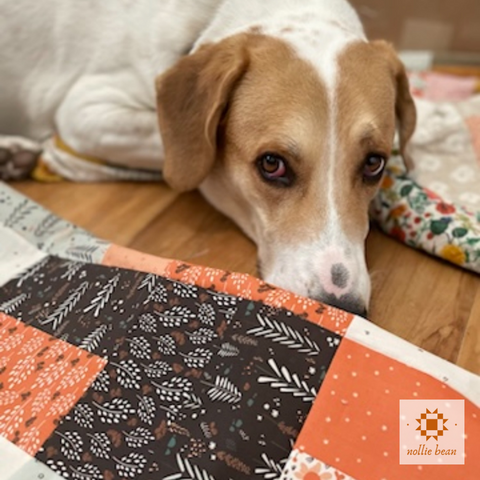 5 Tips for Mindful Quilting with Nollie Bean