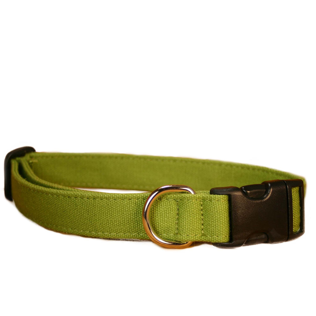 https://cdn.shopify.com/s/files/1/0119/5762/products/GREEN_BASIC_COLLAR_Sq_1024x1024.jpg?v=1590031954