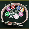 Personalised Pet ID Tags -  www.sanroccoitalia.it - Pet products