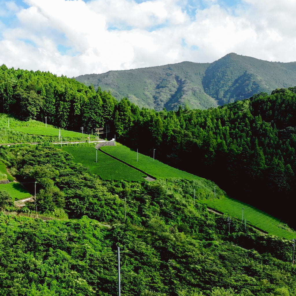 お茶の生産量が多い都道府県top5 日本茶の名産地とその特徴とは 煎茶堂東京オンライン