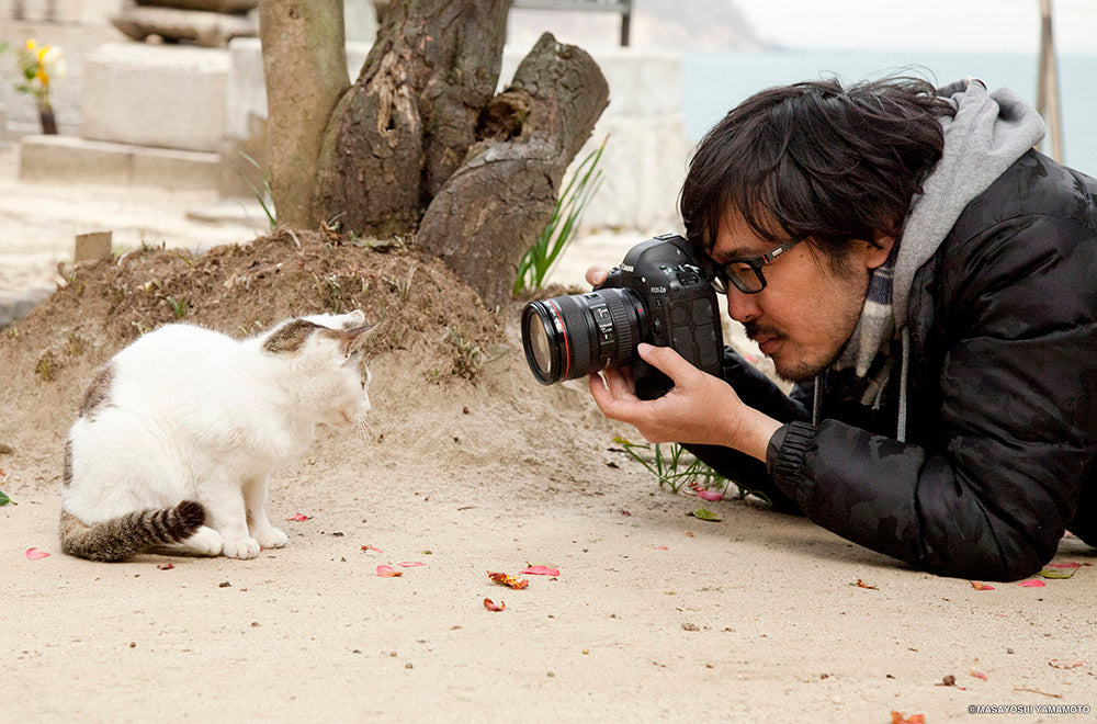 それぞれに違う猫の個性をとらえていきたい 猫写真家・沖昌之さん