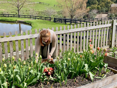 Florist garden