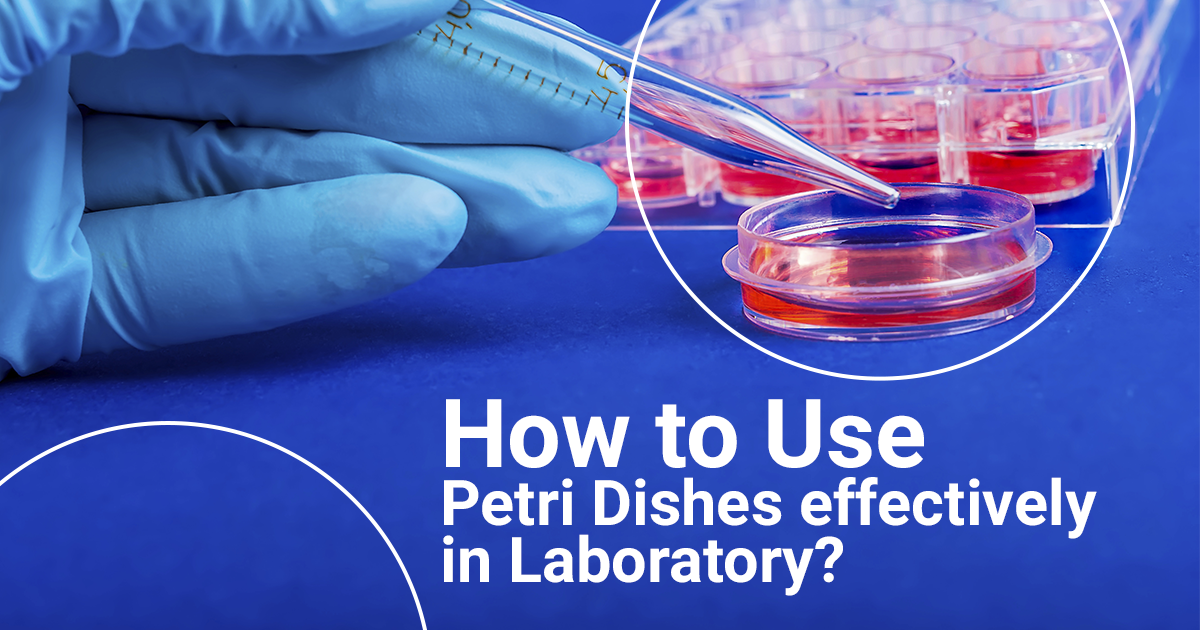 How_to_Use_Petri_Dishes_effectively_in_L