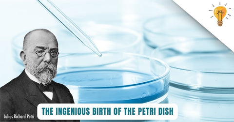 the birth of petri dish