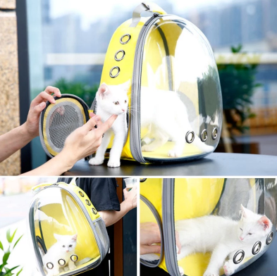 cat carrier bubble backpack