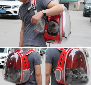 Cat carrier backpack