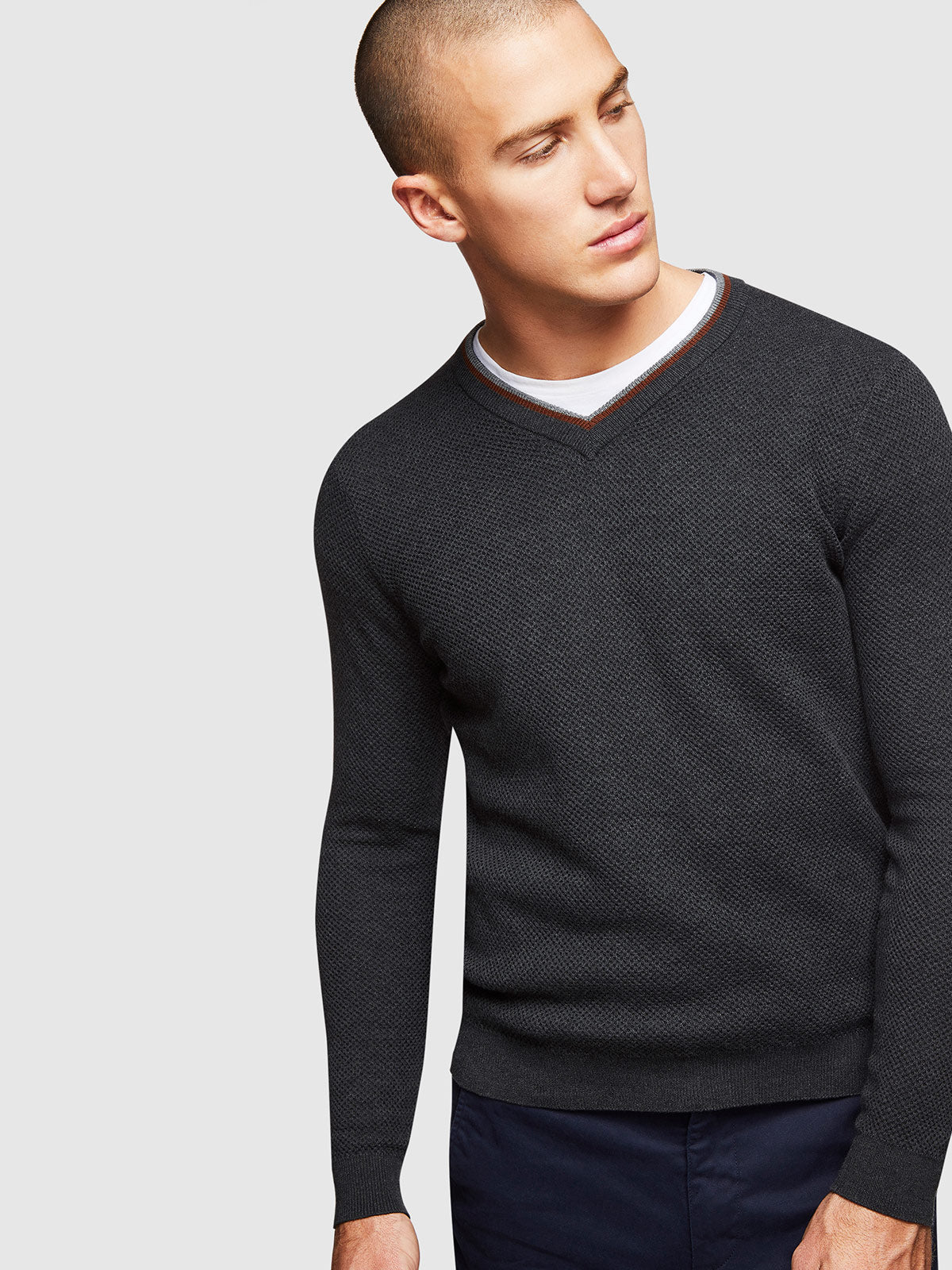 ADRIAN TEXTURED TIPPING VNEC KNIT