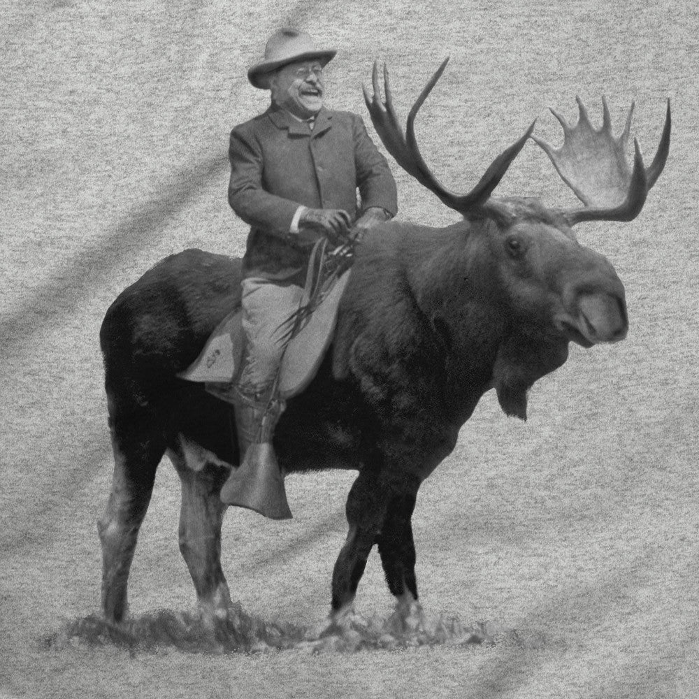 theodore roosevelt riding a moose