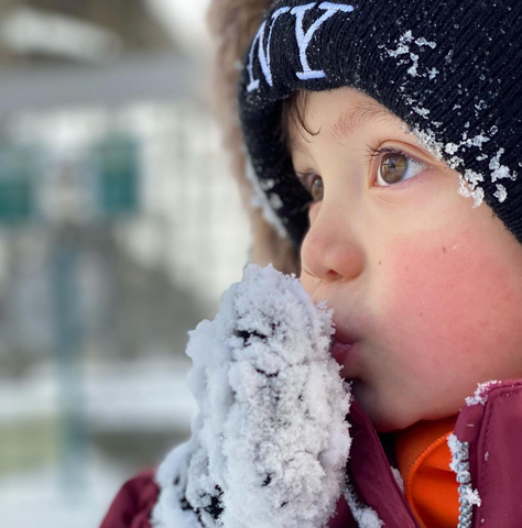 A toddler with a black hat eats snow off his mittens