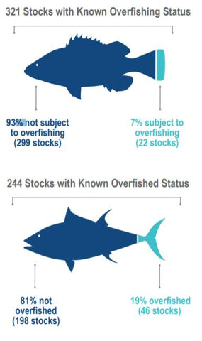 Diagram showing stats for overfishing