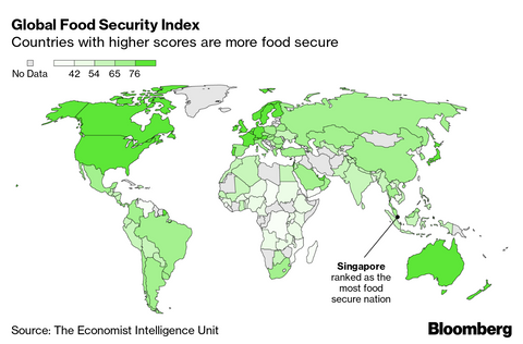 Diagram of world food security index