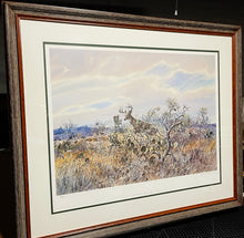 Load image into Gallery viewer, Classic Whitetail Deer Scene &quot;Running Shot&quot; Lithograph Number 60 Of 800 By John P. Cowan Year 1994 - Mint Condition, Brand New Custom Sporting Frame, Signed By John Cowan - Print Dimensions 25.5&quot; High x 31.5&quot; Long - Frame Dimensions 32H x 39L.
