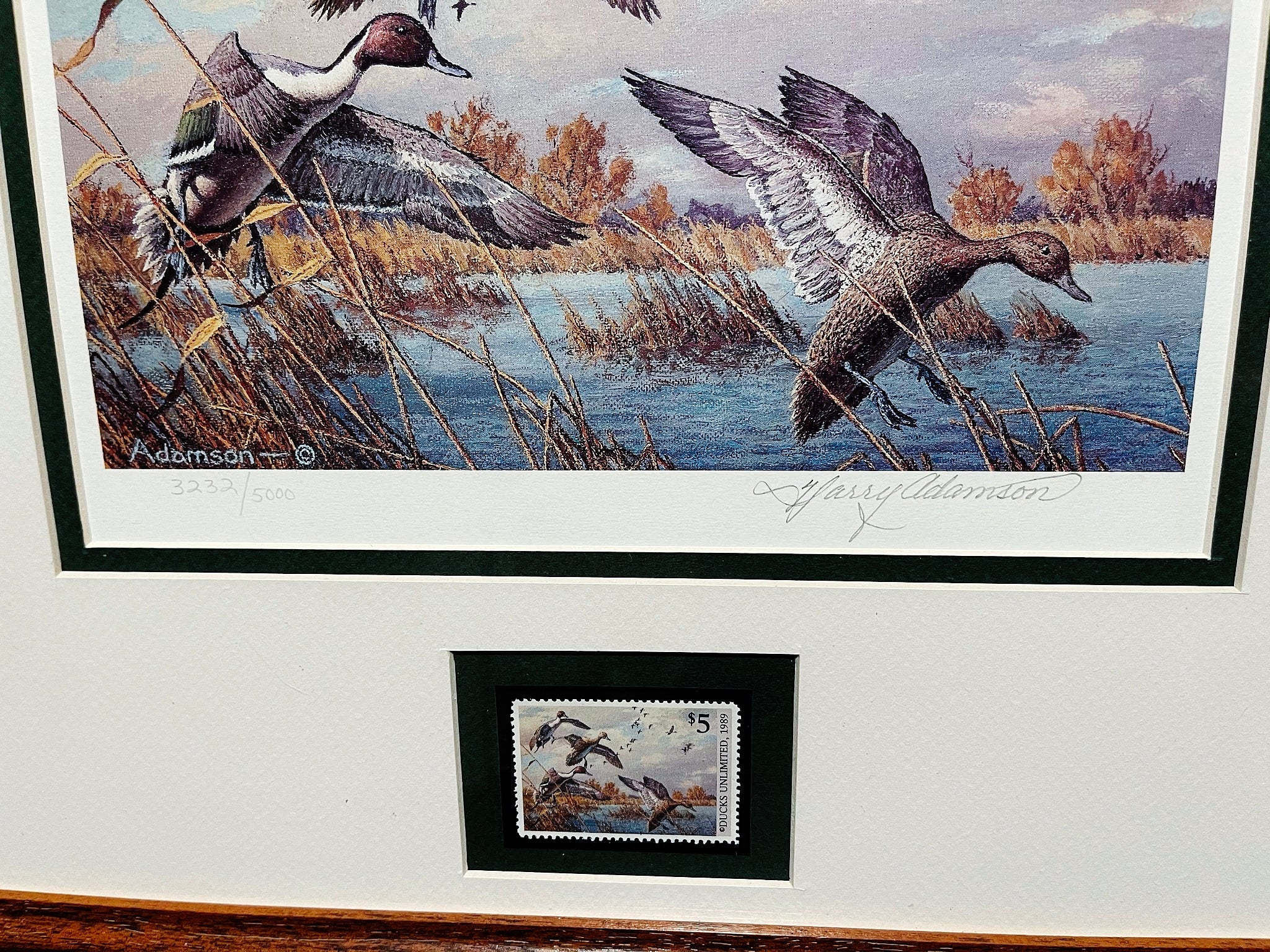 ducks unlimited painting