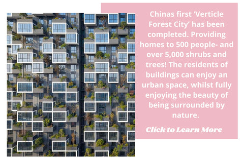Chinas first vertical city