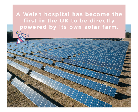 Solar panels that power a Welsh hospital