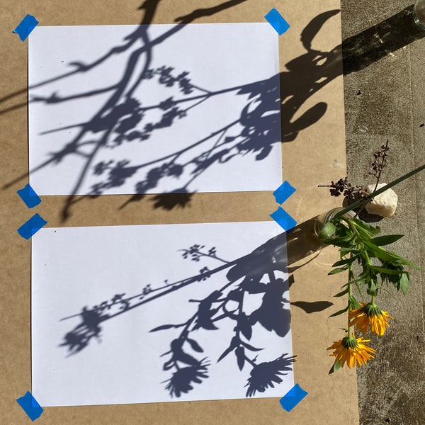 Nature shadow drawing art project for children