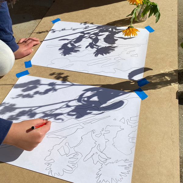 child drawing shadows of flowers on paper