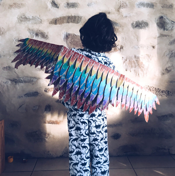 rainbow coloured cardboard bird wings costume