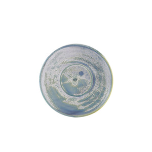 Terra Porcelain Seafoam Saucer 14.5cm - Pack Of 6