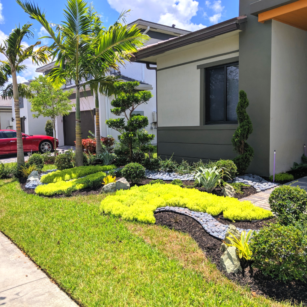 Stunning New Front Yard Landscaping In Parkland, FL (Cascata ...