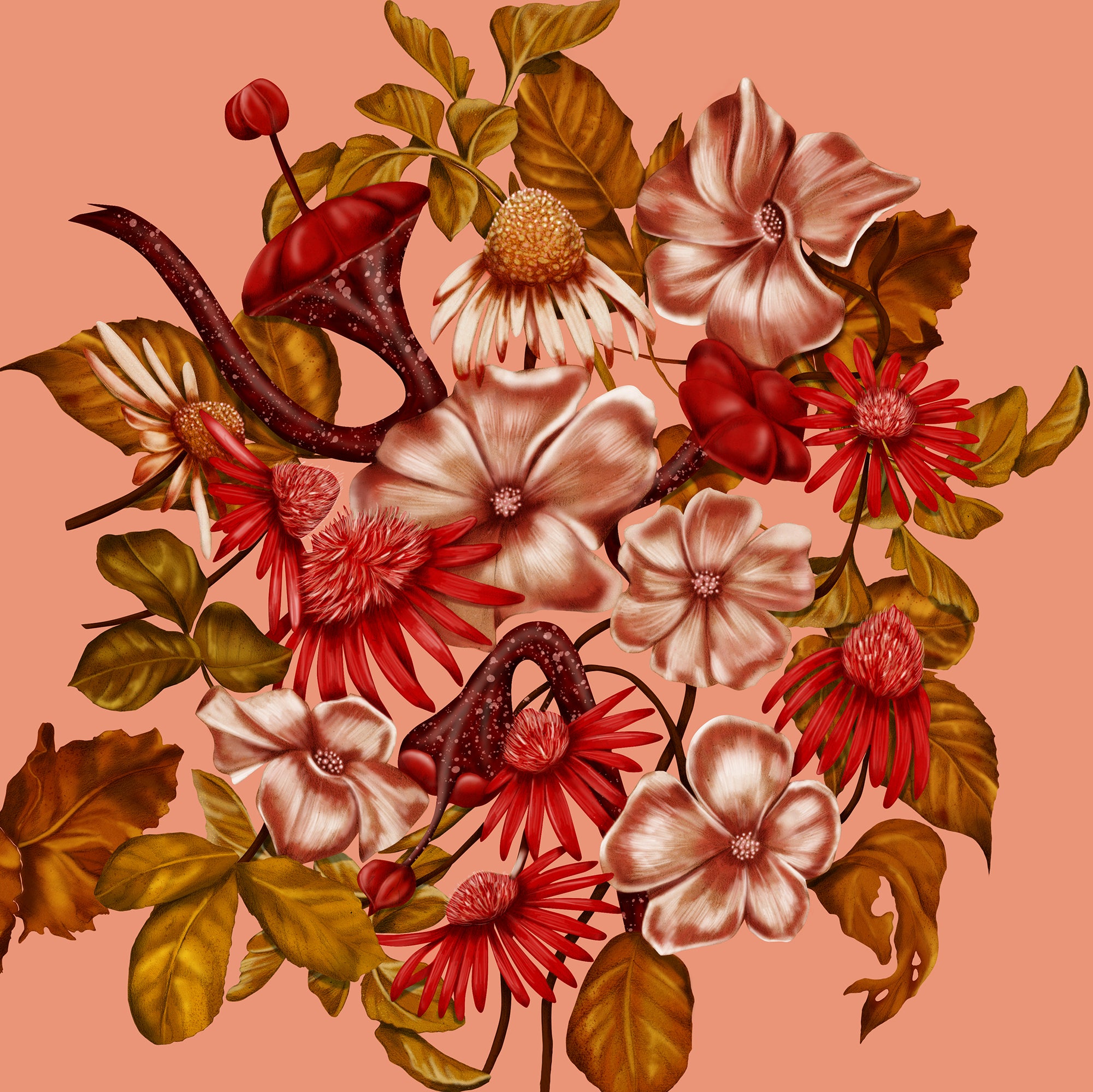 Kelly Thompson botanical illustration, illustrator Melbourne Blunt umbrellas