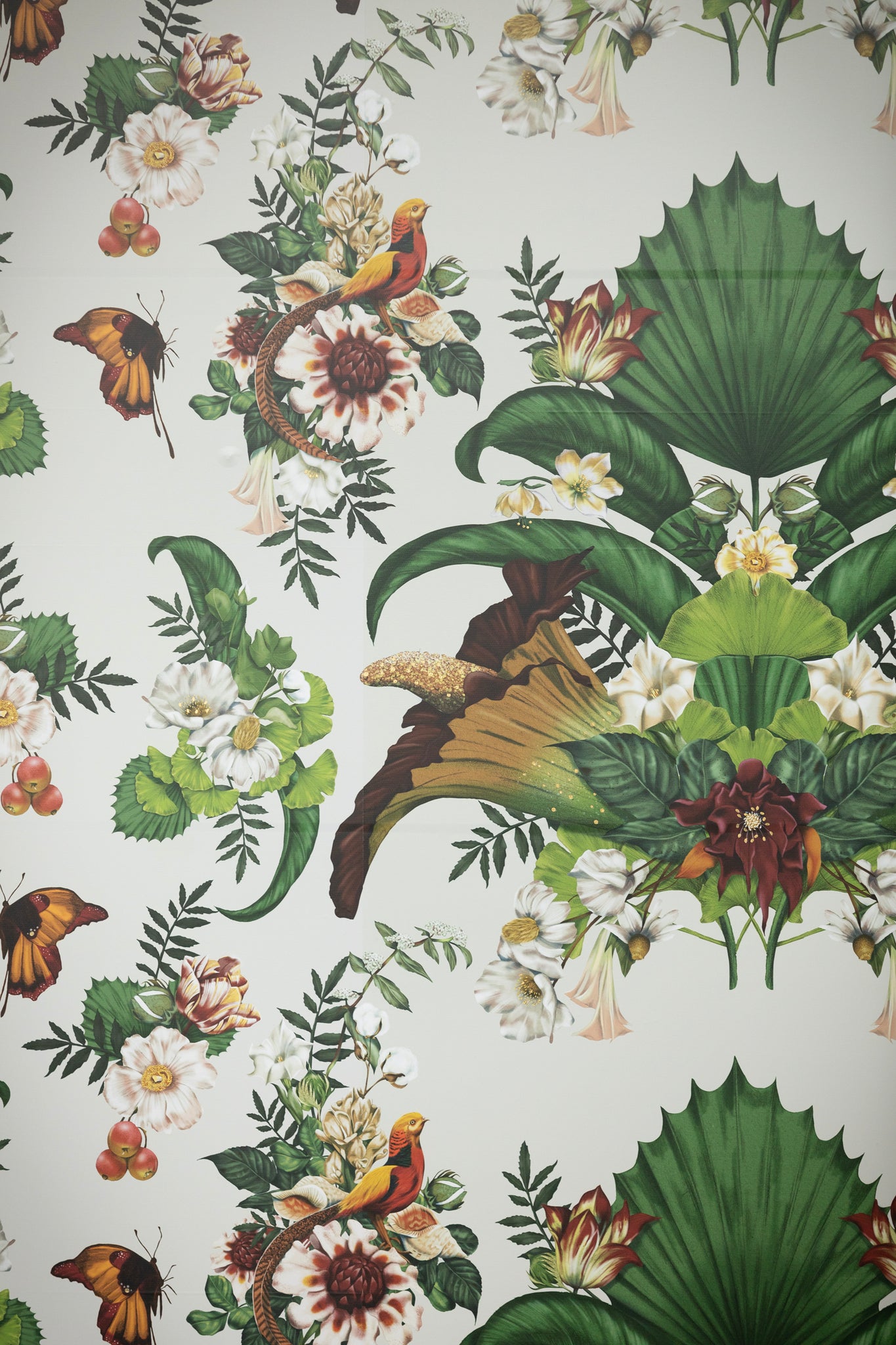 Kelly Thompson botanical Illustration wallpaper Melbourne Museum Titanic Exhibition