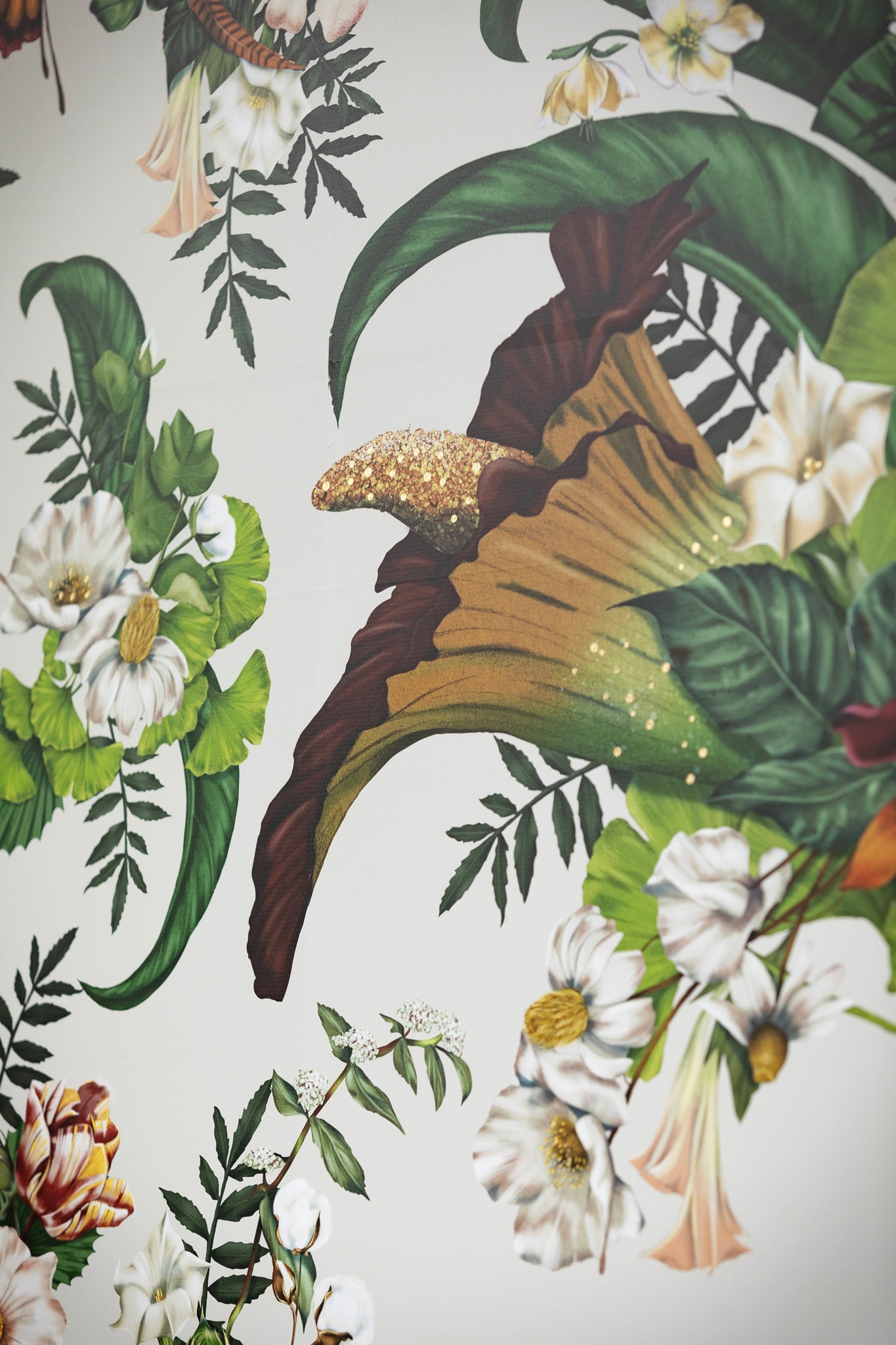 Kelly Thompson botanical Illustration wallpaper Melbourne Museum Titanic Exhibition