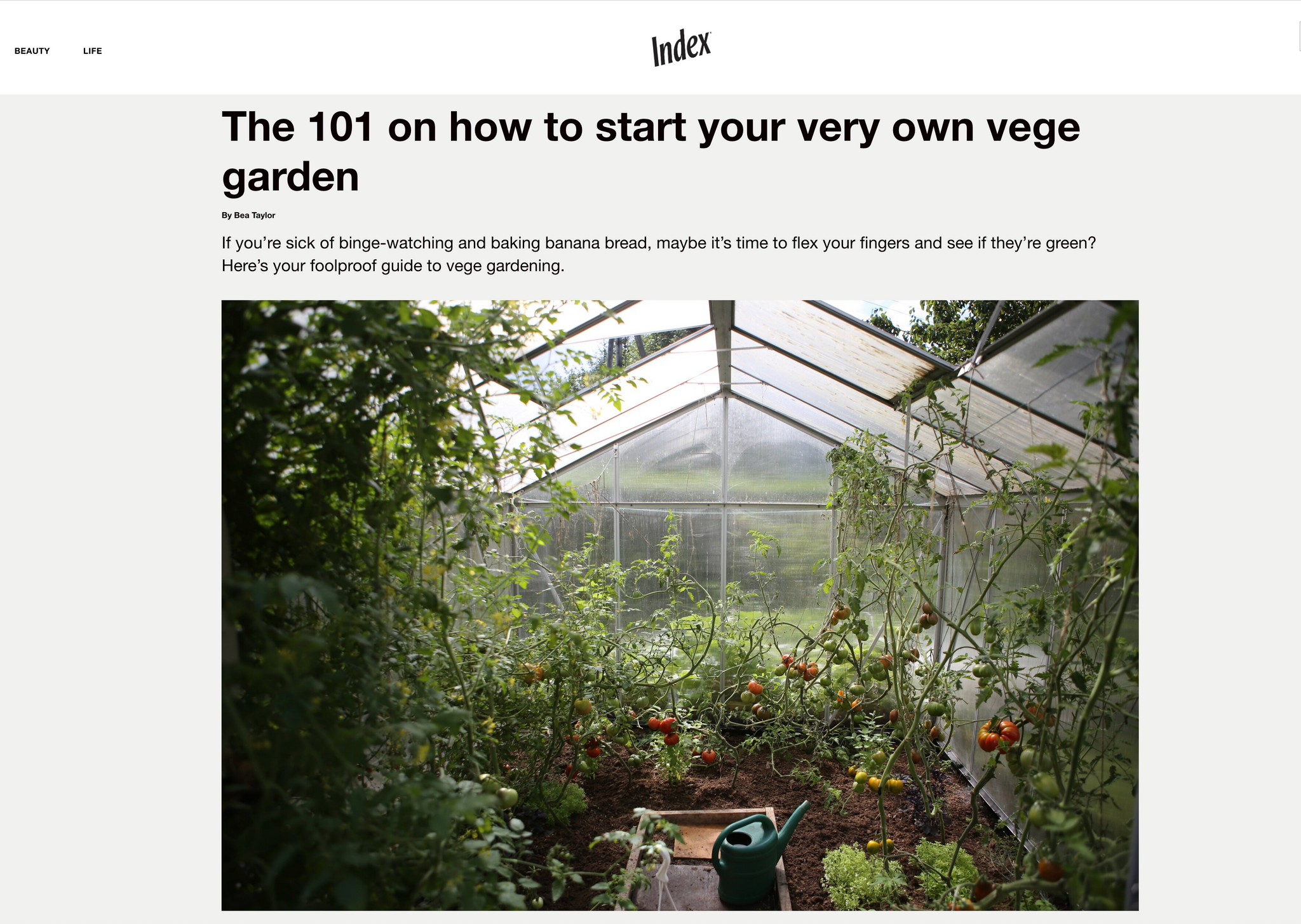 Index Magazine growing your own garden Kelly Thompson 