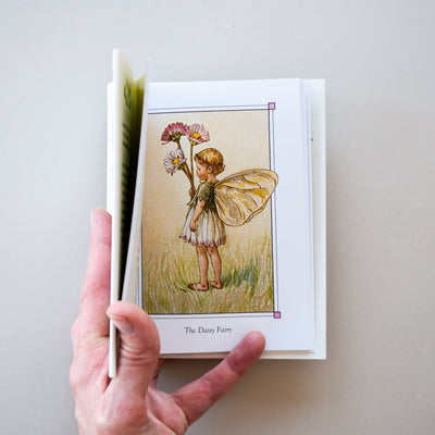 the complete book of the flower fairies book buy