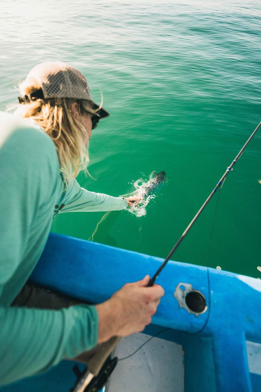 Saltwater Fly Fishing for Bonito with Epic Fly Rods