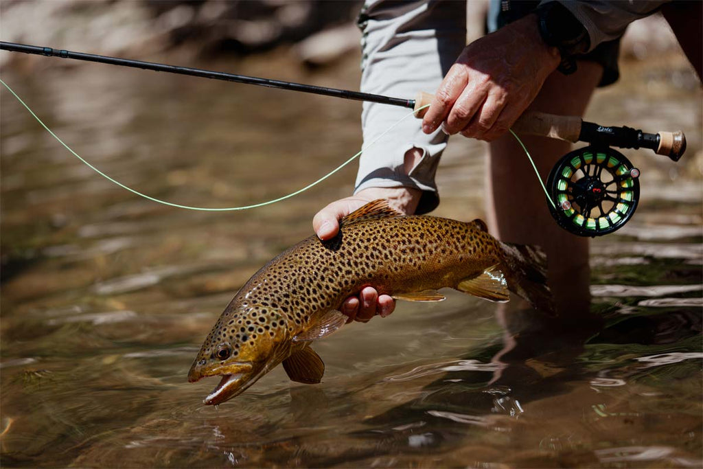 Best Trout Fly Rods of 2023 