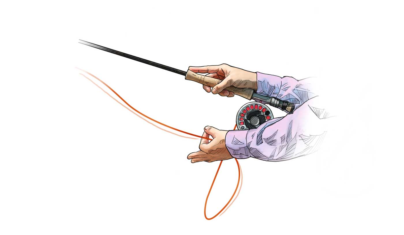 Fly casting tips for fly fishing with a fly rod. shooting fly line