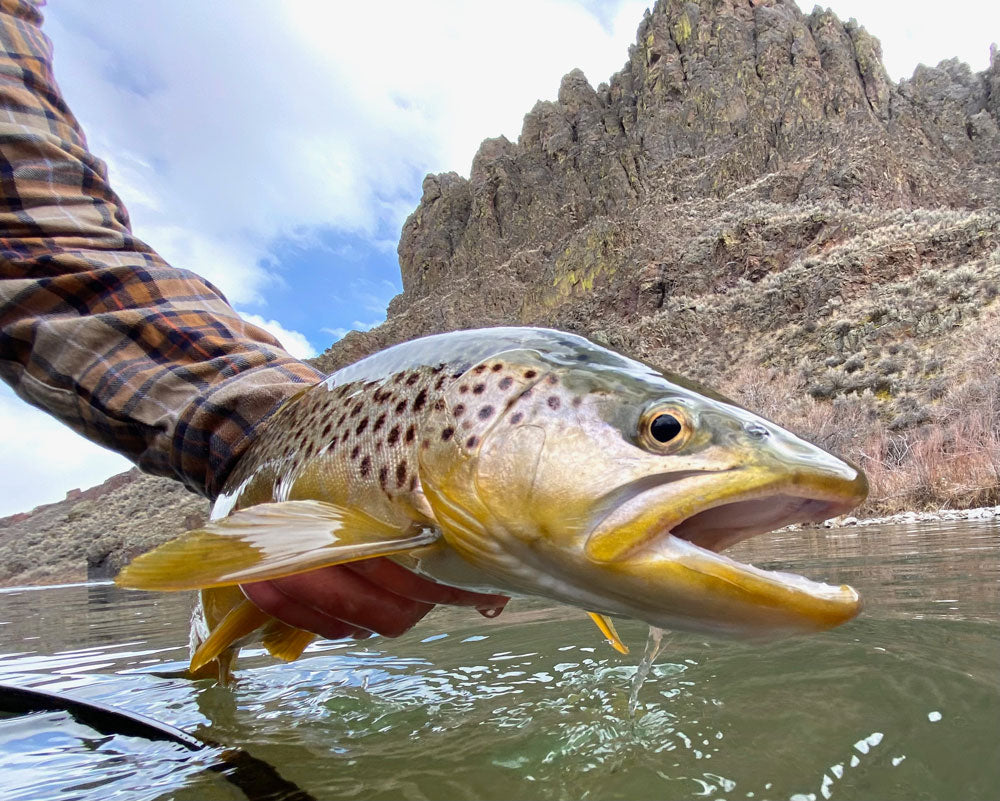 Winter Fly Fishing