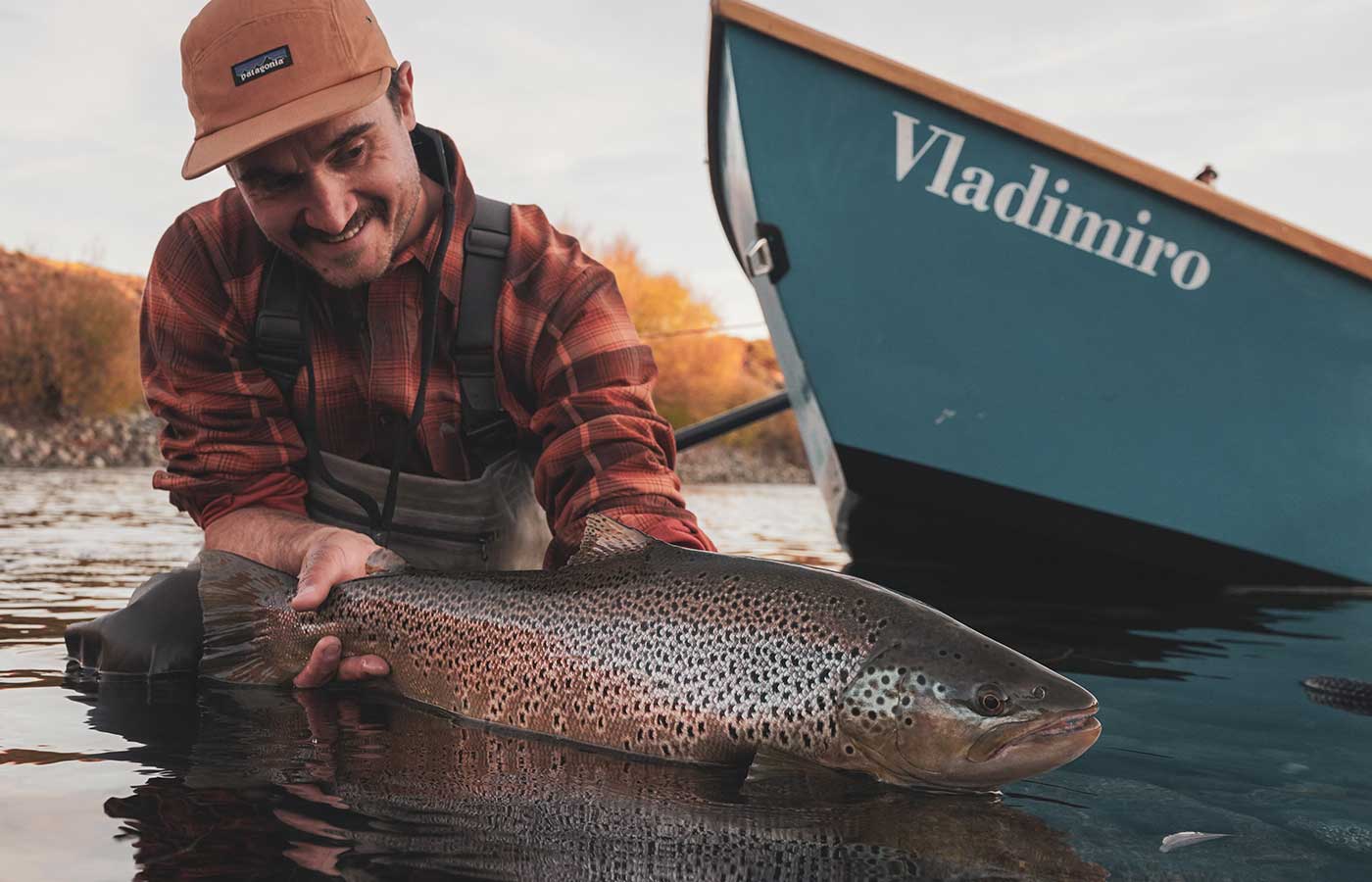 fly fishing for brown trout