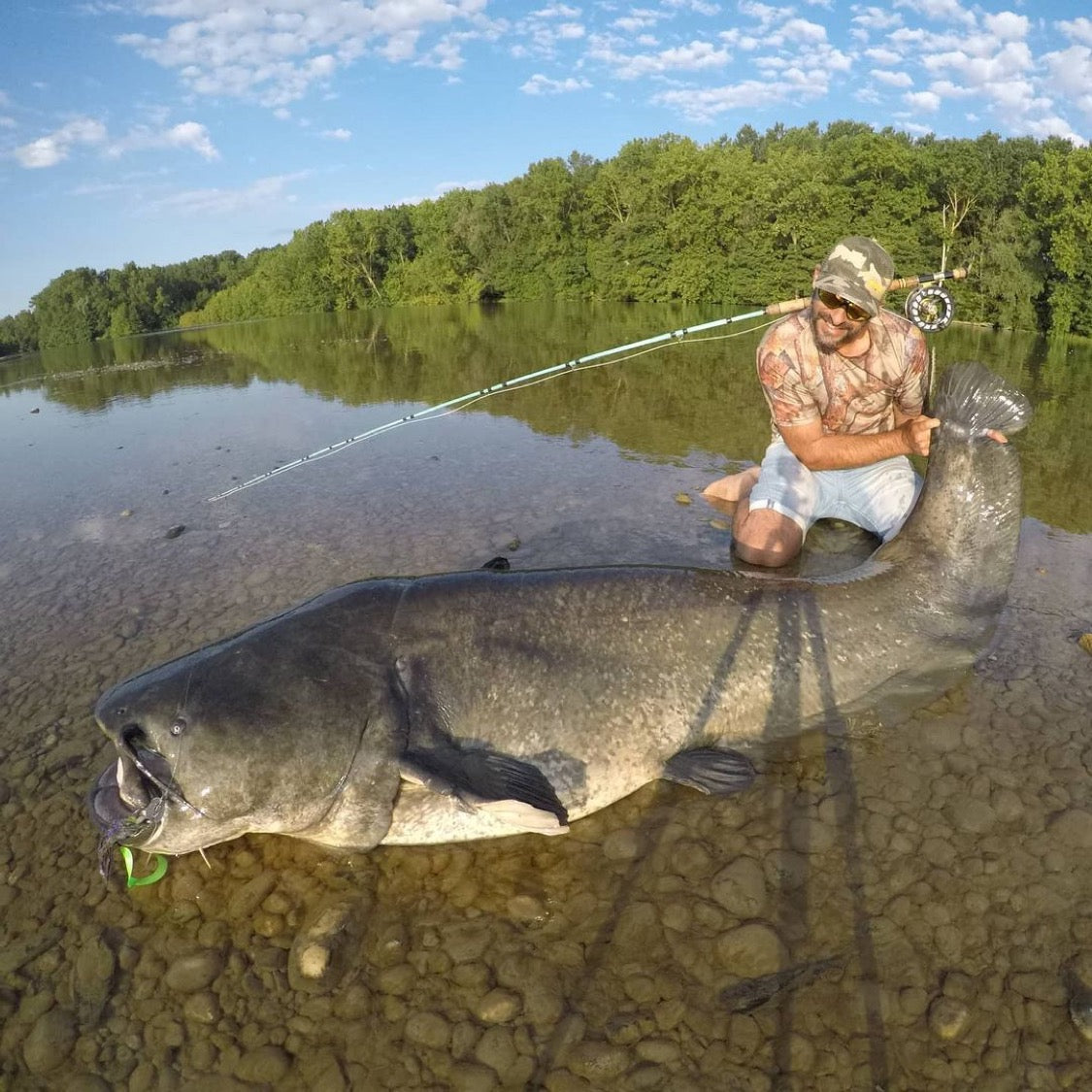 Wels Catfish and the 12wt Boca Grande Fly Rod