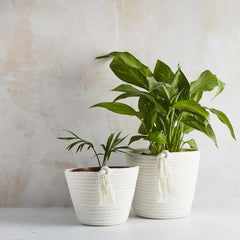 Tabitha Eve Handmade in the UK plastic-free vegan eco-friendly cotton EcoTwist pots