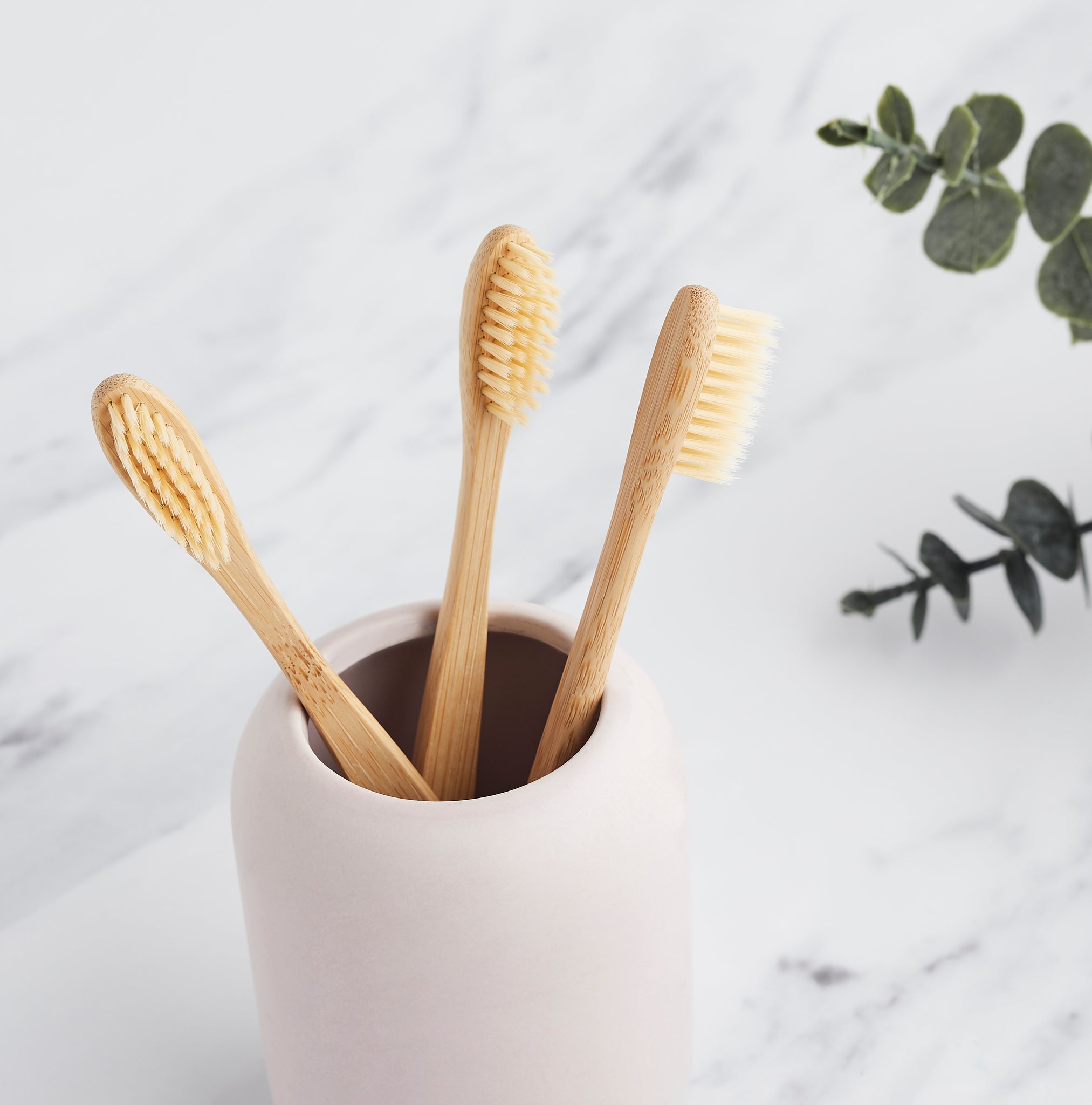 bamboo toothbrush