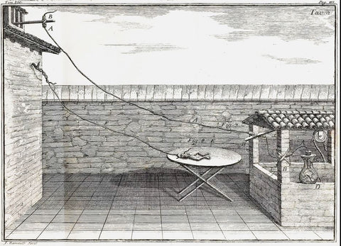 Luigi Galvani Frog experiment 