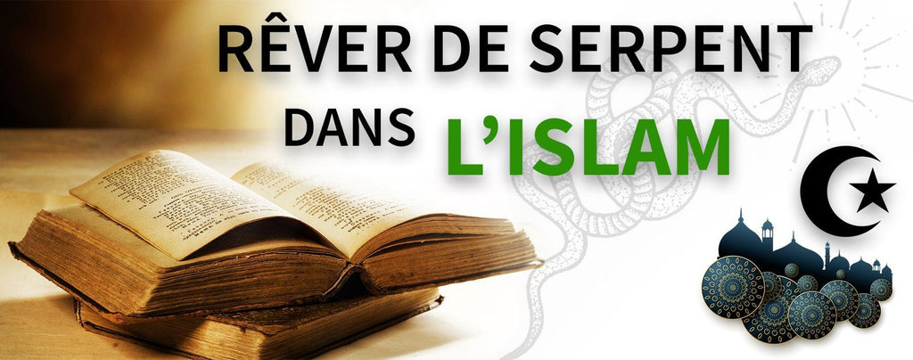 Rever De Serpent Dans L Islam Le Guide Complet Esprit Serpent