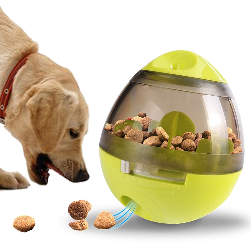 interactive pet toy