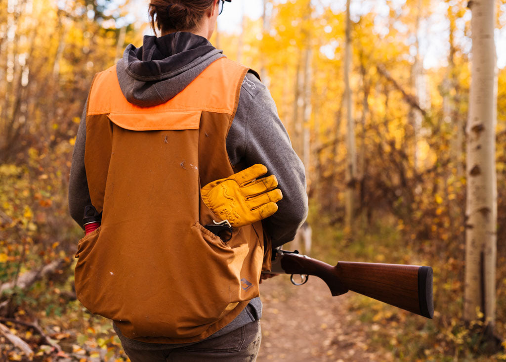 Hunting in Aspen forest