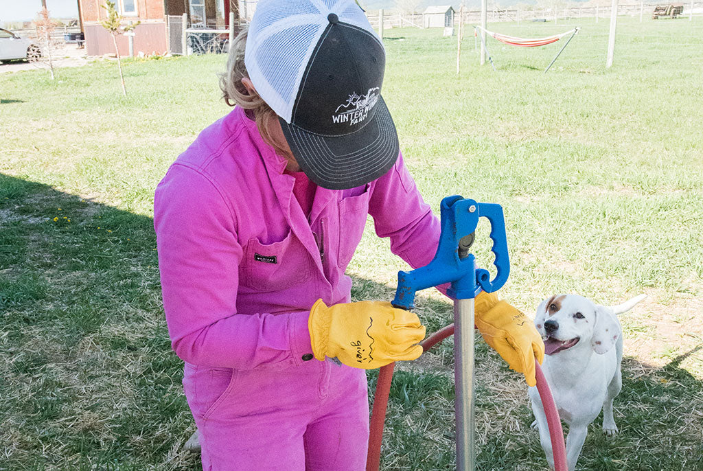 Woman pumping water at farm