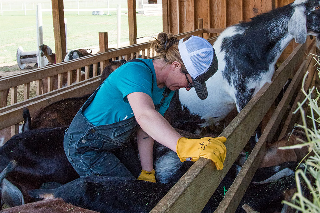 Woman working on goat farm with Lightweight Gloves