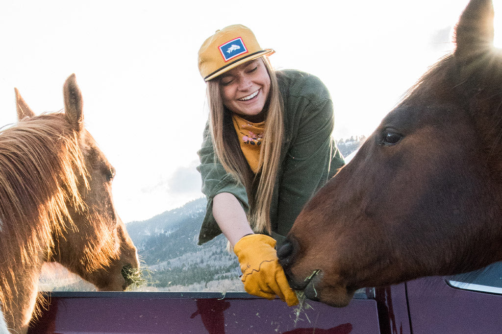 Woman feeding her horses in Classic Give'r Gloves