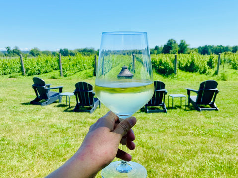 Drinking in Napanee and Bath Ontario near Prince Edward County, Bergeron Estate Winery & Cider, wineries and breweries in Napanee & Bath, Ontario wineries near Ottawa and Kingston, what to do in Napanee, boutique winery & vineyard with homemade pizza, eat and drink in Lennox Addington