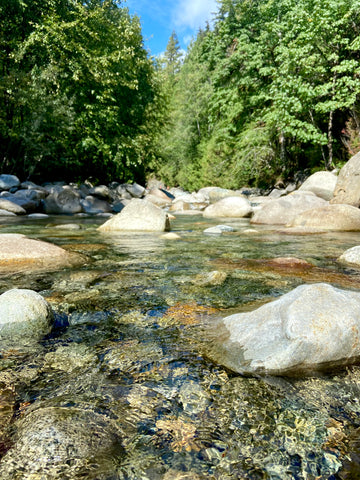 Water pools in Lynn Canyon Park, Lynn Canyon Suspension bridge in North Vancouver, top hiking trails in Vancouver BC, best Vancouver views, best outdoor sights in Vancouver, where to hike in the Vancouver rainforest, amazing views in Vancouver, best Vancouver parks with trails, Vancouver easy hiking trails, what to do when visiting Vancouver BC, must visit attractions in Vancouver, giant trees & swimming holes in Vancouver BC, where to find easy hiking trails Vancouver, best Vancouver BC views, Vancouver forest walks, trail loops in North Vancouver, an itinerary guide to Vancouver Canada, where to go in Vancouver, top Vancouver sights & scenery