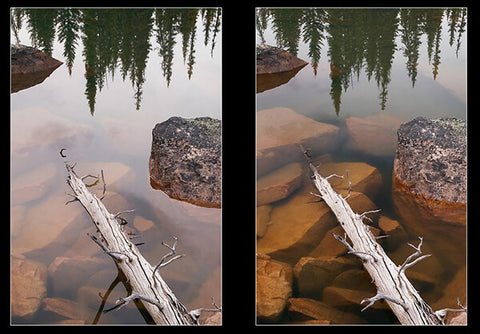 Dos imagenes del agua y un tronco. Una muestra que los reflejos no dejan ver el fondo del agua, con filtro polarizado se ven todos los detalles. Muestra la ventaja del polarizado para eliminar reflejos en el agua.