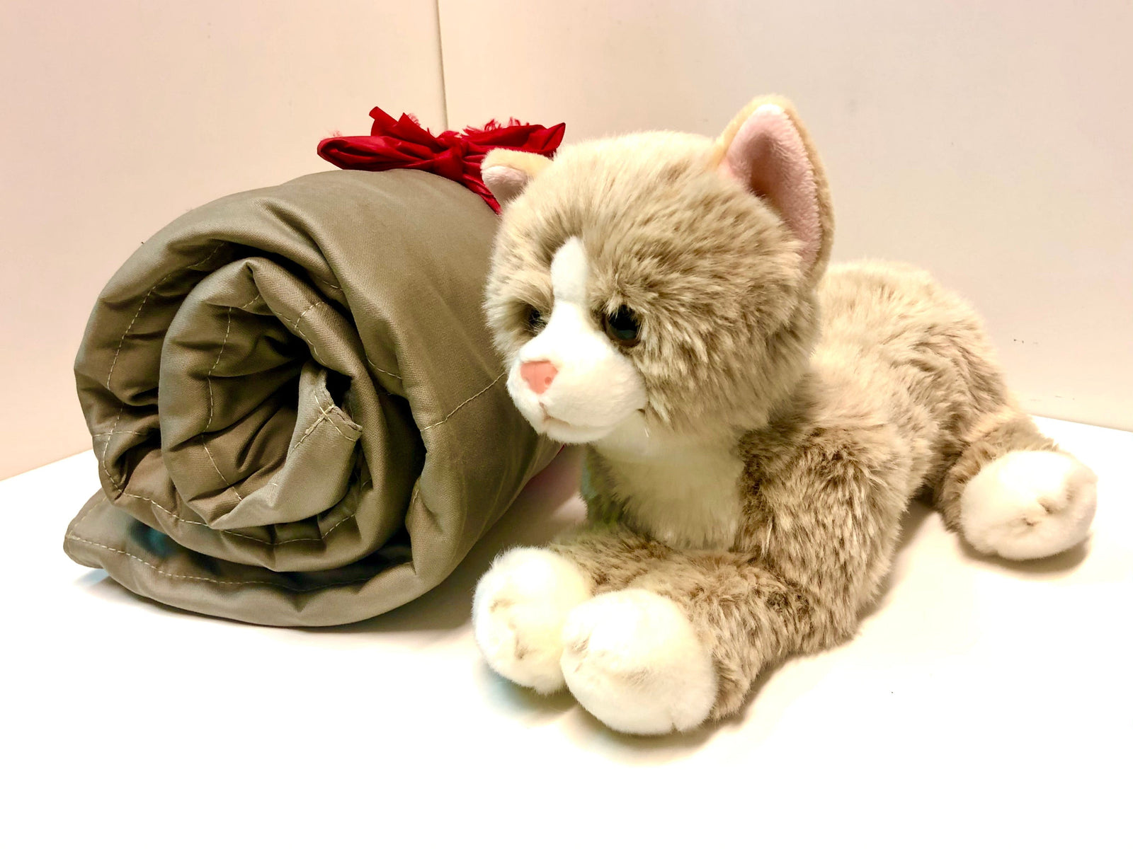 Weighted Cat & Blanket Buddy Set – Sensory Corner
