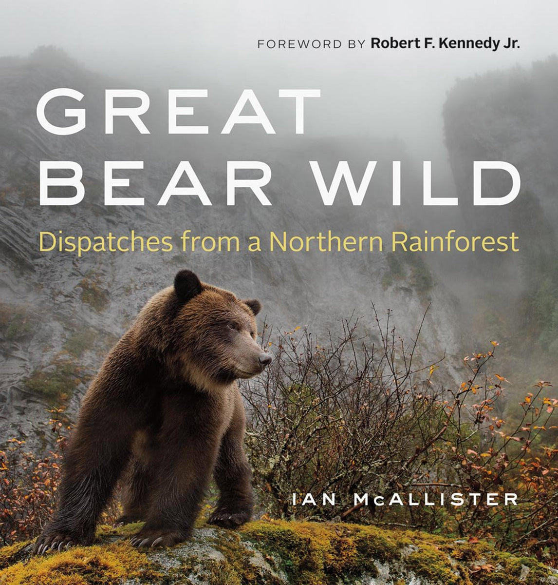 Wild bear перевод