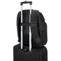 15.6-inch CitySmart EVA Pro Backpack | Buy Direct from Targus